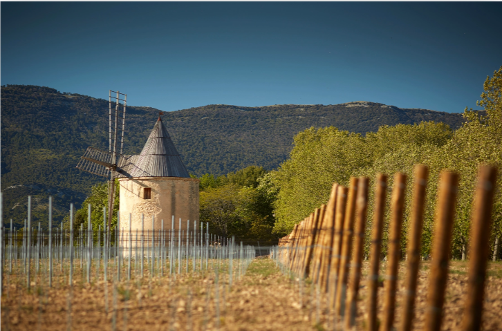 Domaine de Sannes