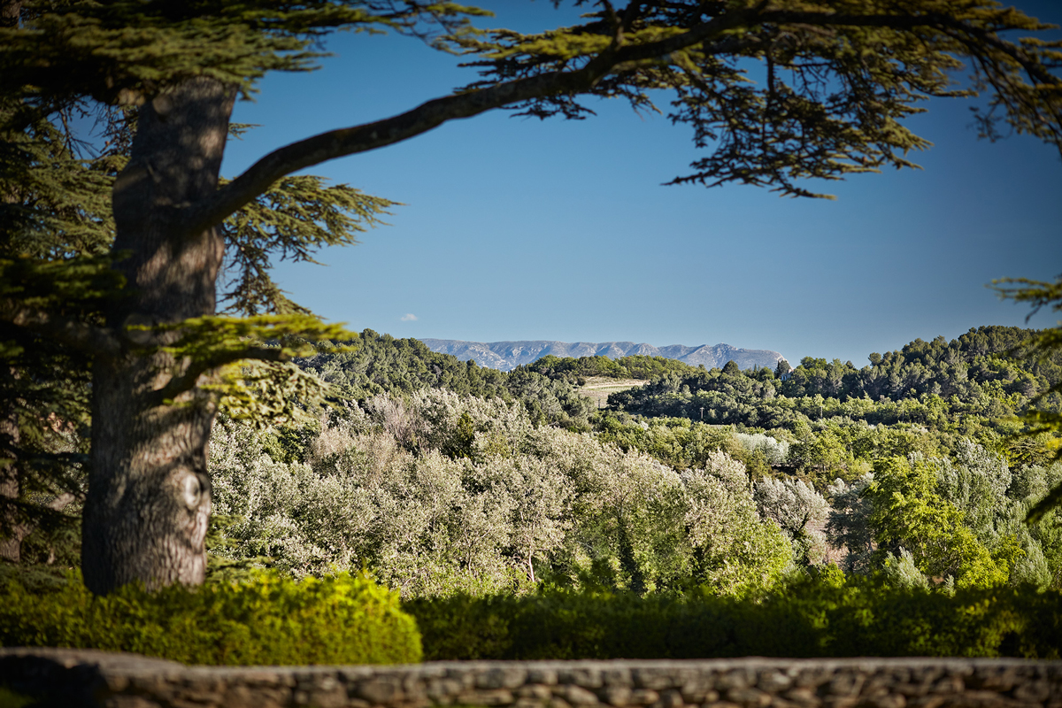 Le terroir du Luberon