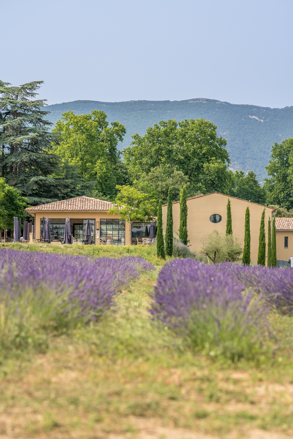 La Boutique du Château de Sannes