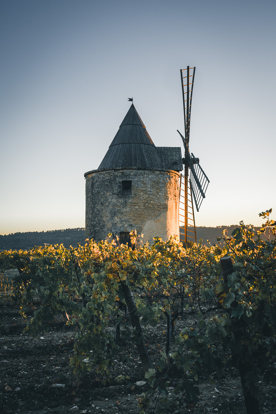 sunsets vignerons  2025 au chateau de sannes autour de l'olive mardi 8 juillet