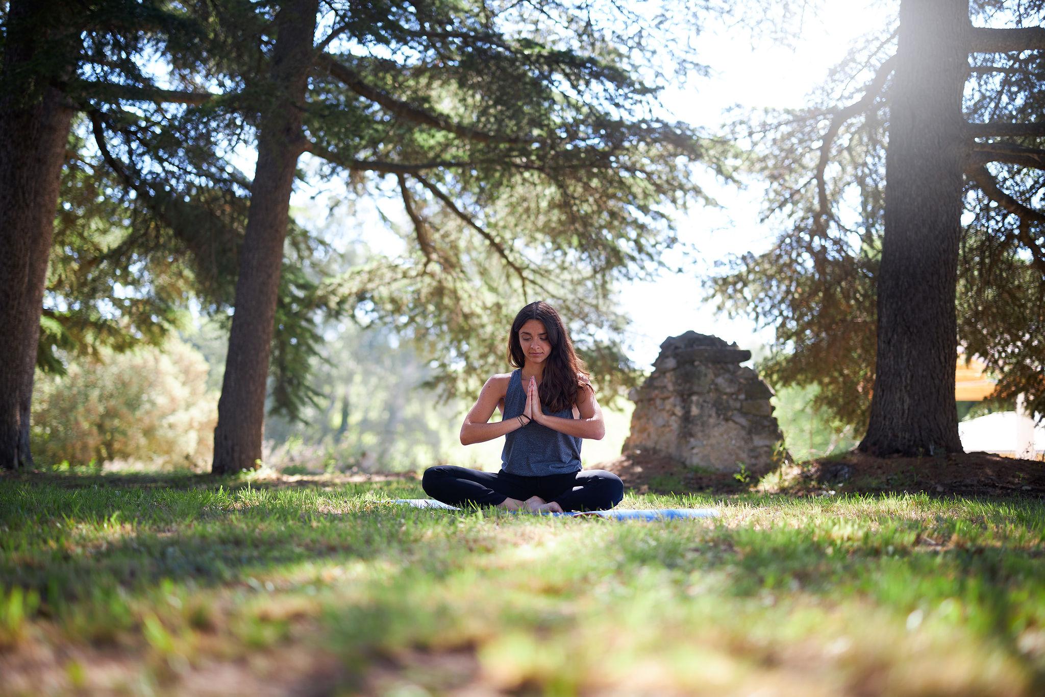Yoga & Vignes et Tai Chi sous nos cèdres du Liban